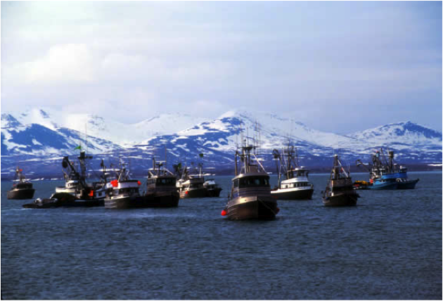 Bristol Bay Fishermen